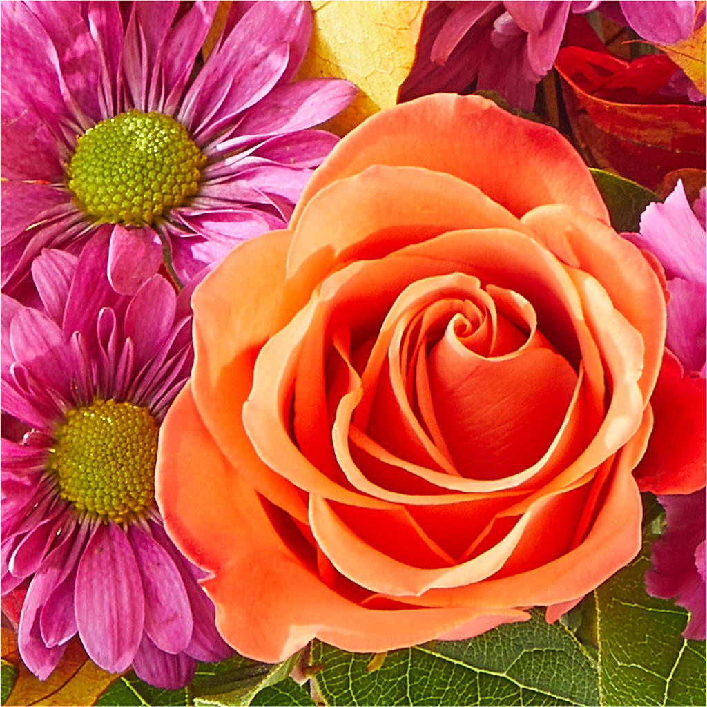 Mum's the Word Bouquet –  One Million Roses Llc, Caldwell ID