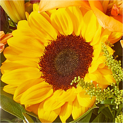 Seasons Change Bouquet –  One Million Roses Llc, Caldwell ID