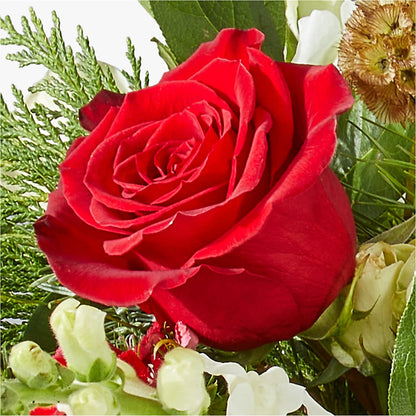 Deck the Halls Bouquet –  One Million Roses Llc, Caldwell ID
