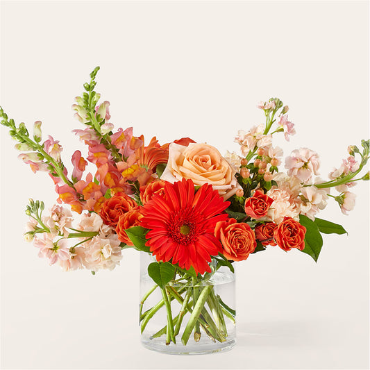 Paloma Please Bouquet –  One Million Roses Llc, Caldwell ID