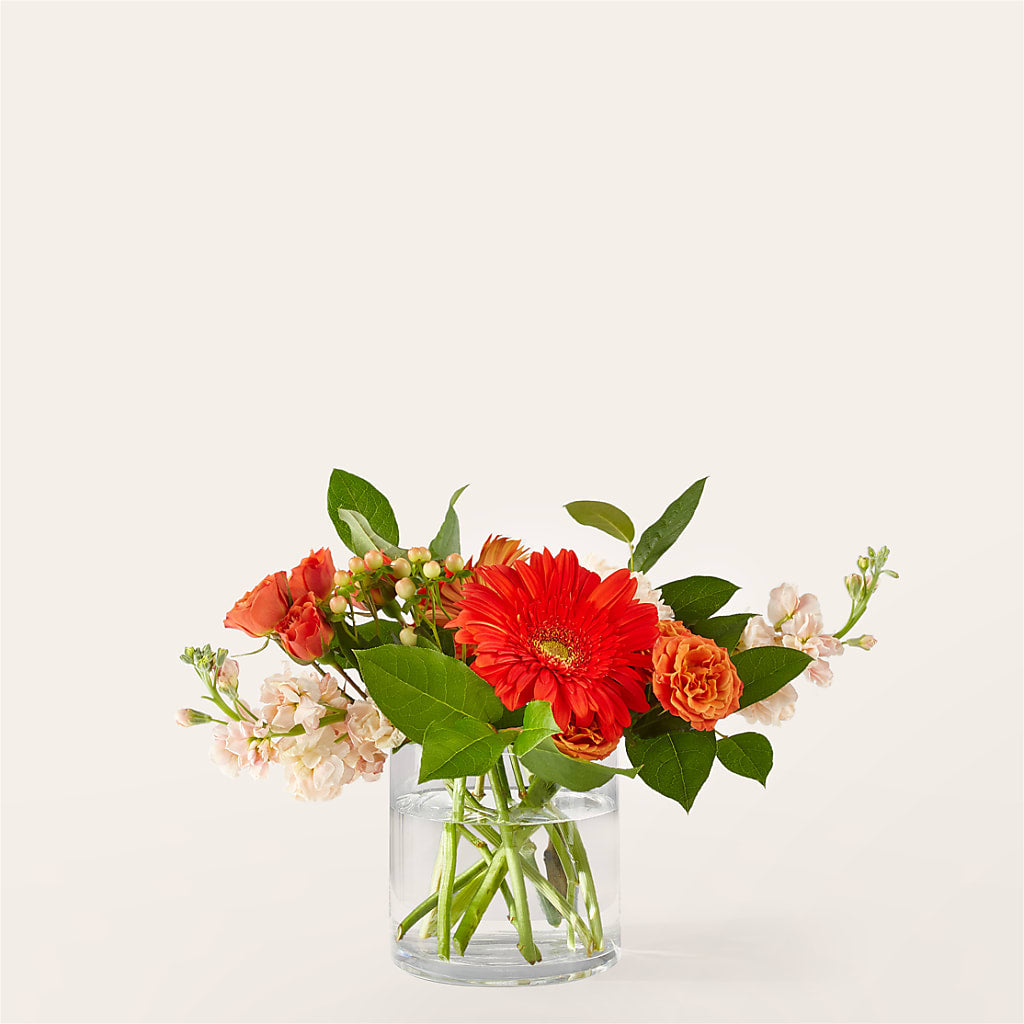 Paloma Please Bouquet –  One Million Roses Llc, Caldwell ID