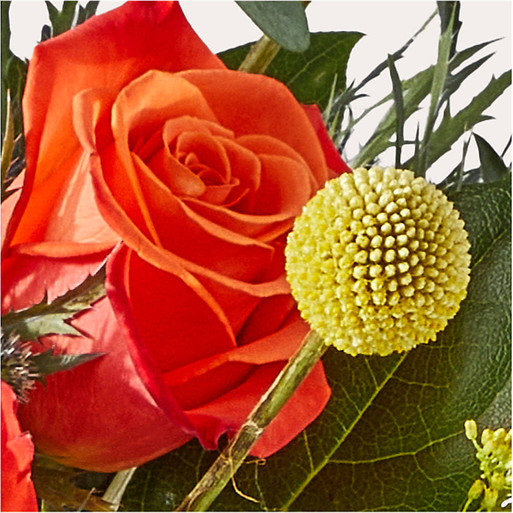 Disco Bouquet –  One Million Roses Llc, Caldwell ID