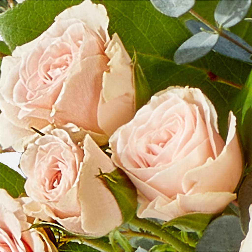 Inspired Bouquet –  One Million Roses Llc, Caldwell ID