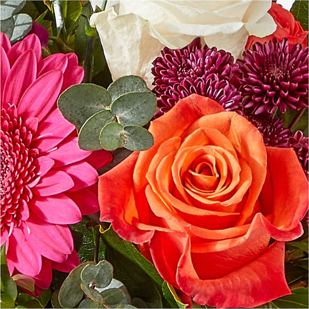 Smell the Roses Bouquet –  One Million Roses Llc, Caldwell ID