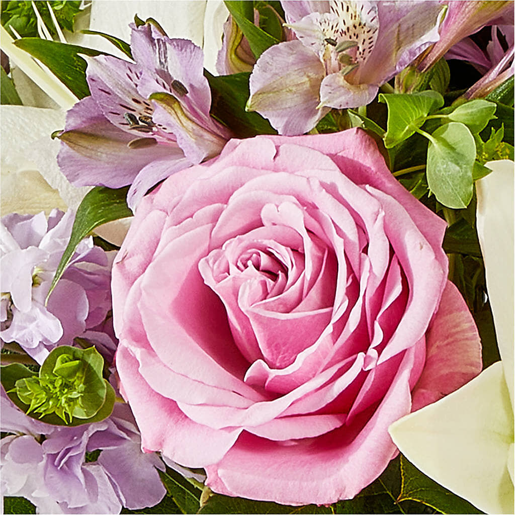 Daydreamer Bouquet –  One Million Roses Llc, Caldwell ID