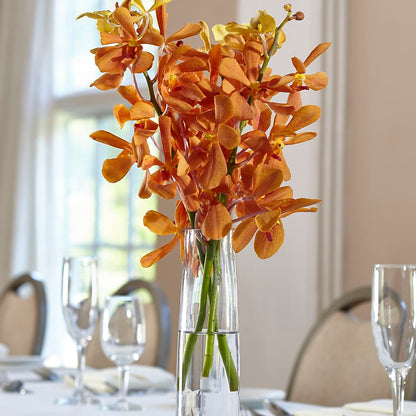 Orange Mokara Bud Vase –  One Million Roses Llc, Caldwell ID