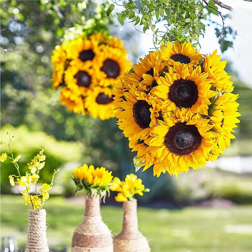 Sublime Garden Hanging Arrangement –  One Million Roses Llc, Caldwell ID