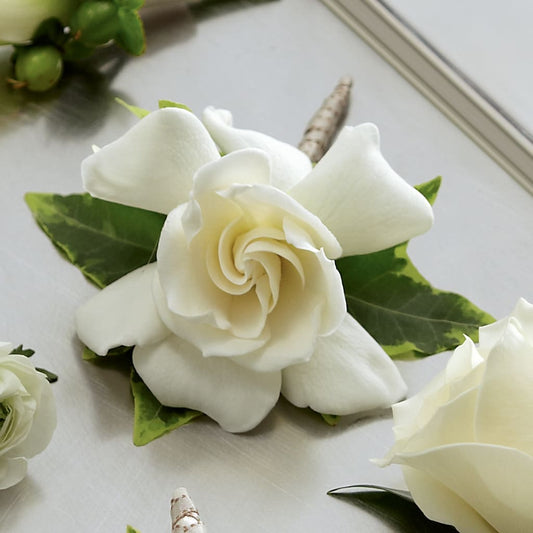 Gardenia Boutonniere –  One Million Roses Llc, Caldwell ID