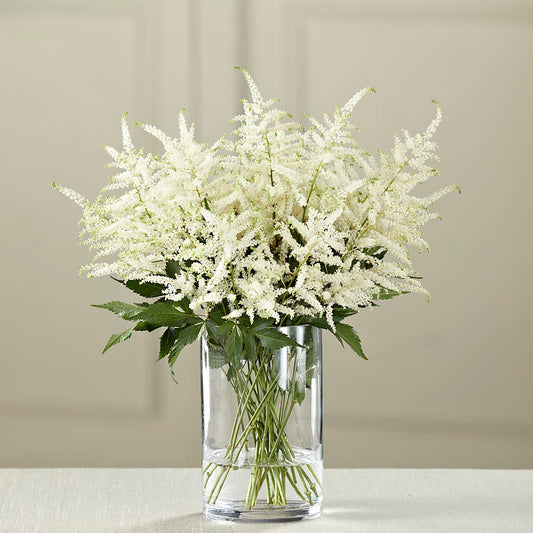White Astilbe Bouquet –  One Million Roses Llc, Caldwell ID