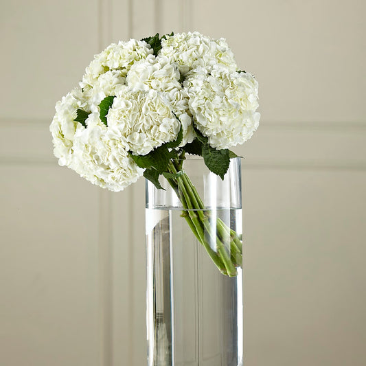 White Hydrangea Hand-Tied Bouquet –  One Million Roses Llc, Caldwell ID
