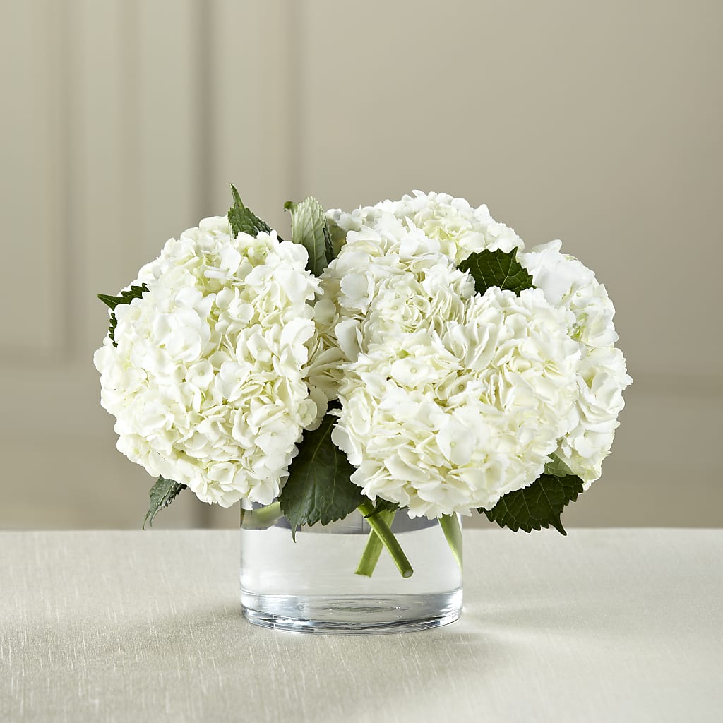 White Hydrangea Bouquet –  One Million Roses Llc, Caldwell ID