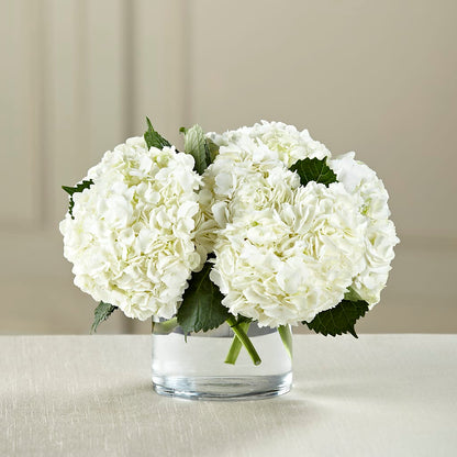 White Hydrangea Bouquet –  One Million Roses Llc, Caldwell ID